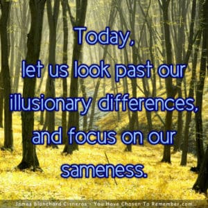 Today, Let Us Look Past our Illusionary Differences - Inspirational Quote