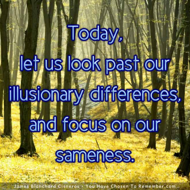 Let Us Focus on our Similarities - Inspirational Quote