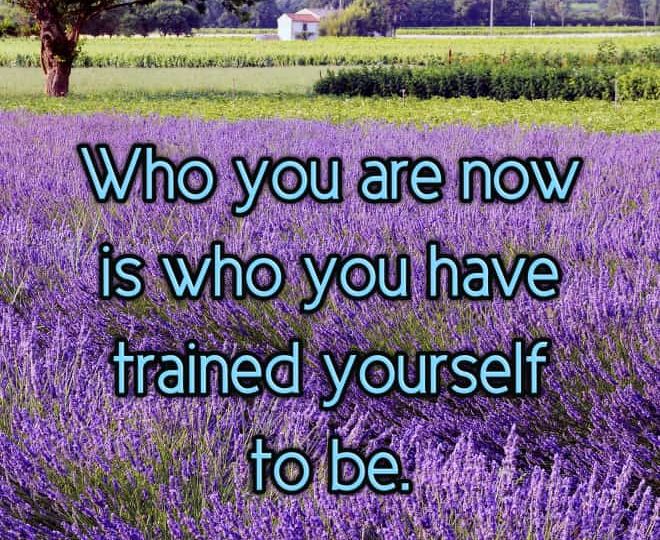 You are Who You Have Trained Yourself to be - Inspirational Quote