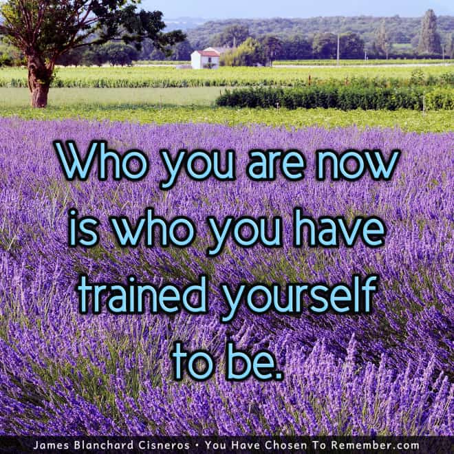 You are Who You Have Trained Yourself to be - Inspirational Quote