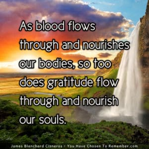 Let Gratitude Nourish You - Inspirational Quote
