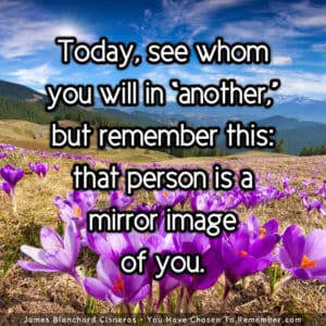 Each Person You Meet, is a Mirror Image of You - Inspirational Quote