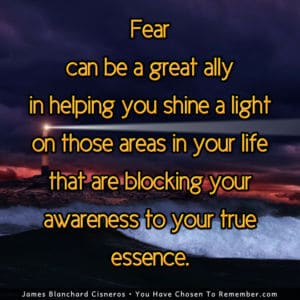 Fear Can Reveal What is Blocking Us - Inspirational Quote