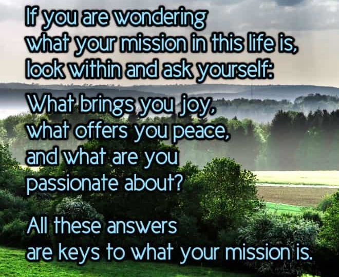 Finding Out What Your Mission is - Inspirational Quote