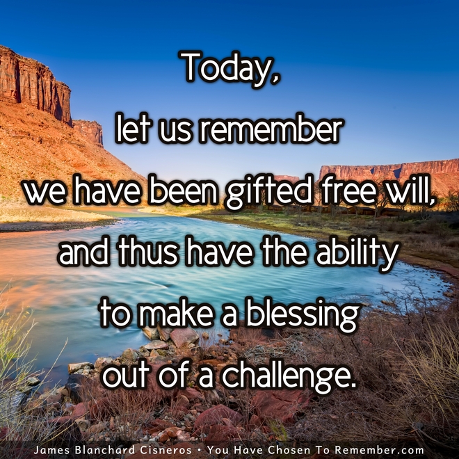 Remember we Have Been Gifted with Free Will - Inspirational Quote