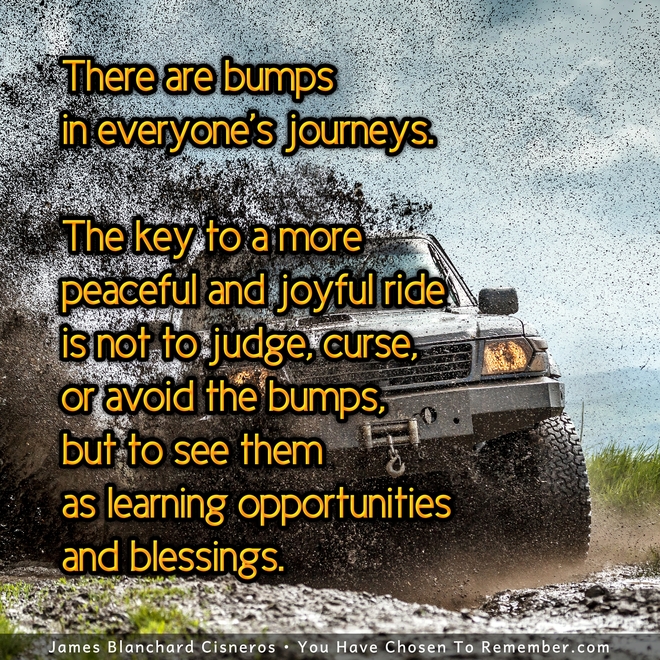 There are Bumps in Everyone's Journey - Inspirational Quote