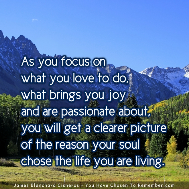 Focus on What You Love to do - Inspirational Quote