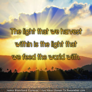 Feed the World with Your Light - Inspirational Quote