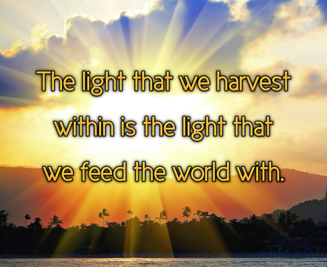 Feed the World with Your Light - Inspirational Quote