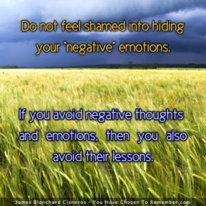 Negative Emotions Offer Us Lessons - Inspirational Quote