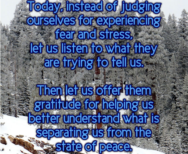 Today, Listen to What Fear and Stress is Telling You - Inspirational Quote