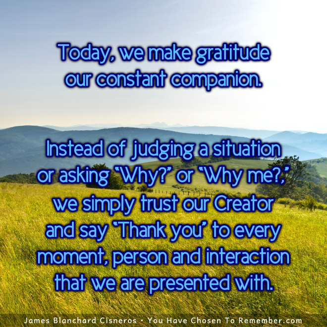 Trust The Creator and Say Thank You - Inspirational Quote