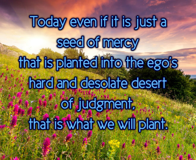 Today, Plant a Seed of Mercy - Inspirational Quote