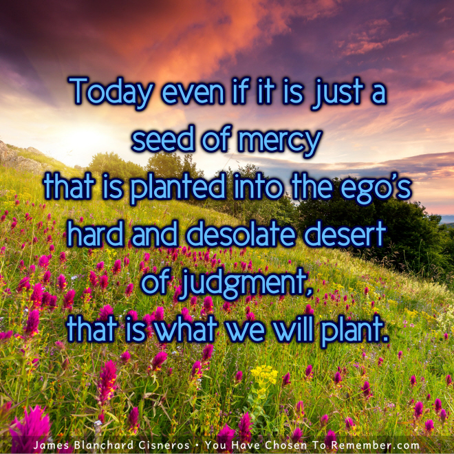 Today, Plant a Seed of Mercy - Inspirational Quote