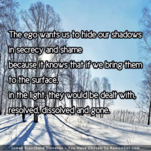Bring Your Shadow into the Light Today - Inspirational Quote