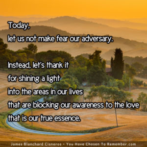 Today, Let Us Not Make Fear Our Adversary - Inspirational Quote
