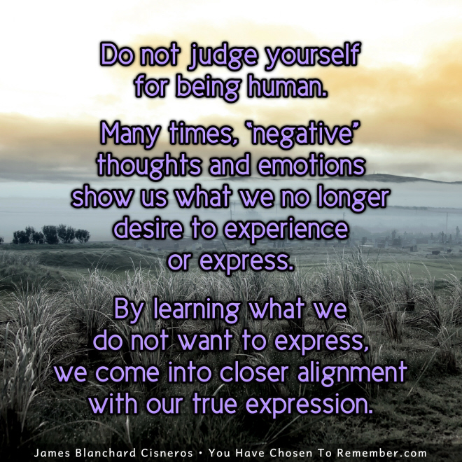 Do Not Judge Yourself for Being Human - Inspirational Quote