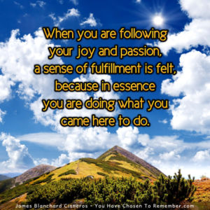 Following Your Joy - Inspirational Quote