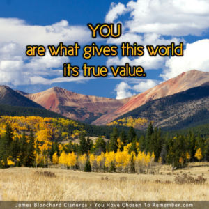 You Are What Gives this World its True Value - Inspirational Quote
