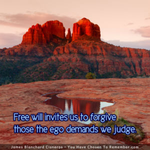 Free Will Invites us to Forgive - Inspirational Quote