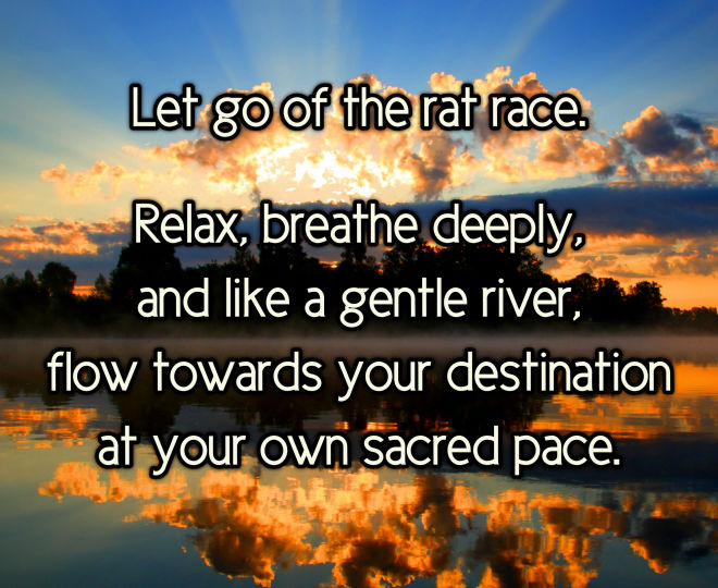 Letting Go of the Rat Race - Inspirational Quote