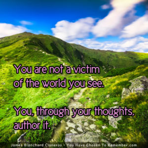 You are Not a Victim - Inspirational Quote