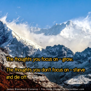 The Thoughts You Focus on Grow - Inspirational Quote