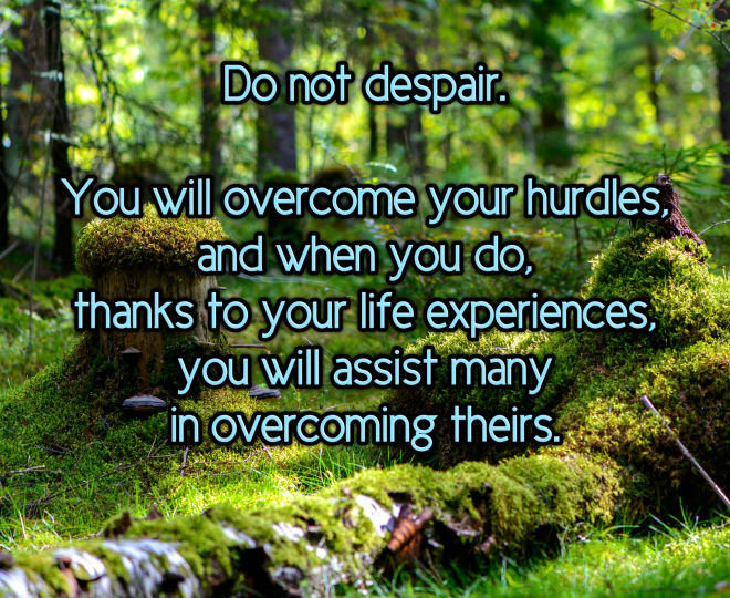 Please do not Despair. You Will Overcome. - Inspirational Quote